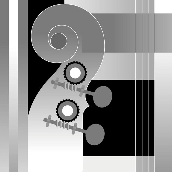 The Double Bass Music Store